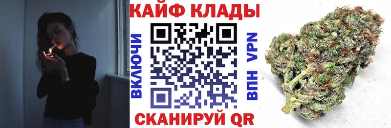 Купить закладку Кокаин  МЕФ  Псилоцибиновые грибы  Каннабис  ГАШ  Гурьевск