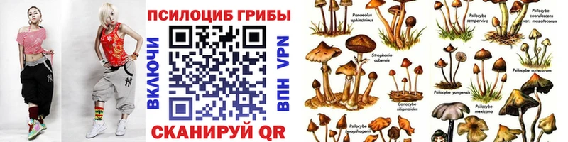 Псилоцибиновые грибы прущие грибы  Купить закладки  Гурьевск 